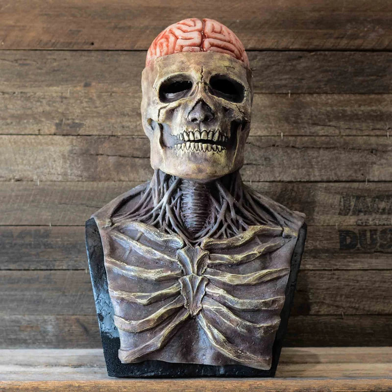 Masque crâne réaliste avec un cerveau au sommet et des os faciaux détaillés, exposé sur fond en bois.