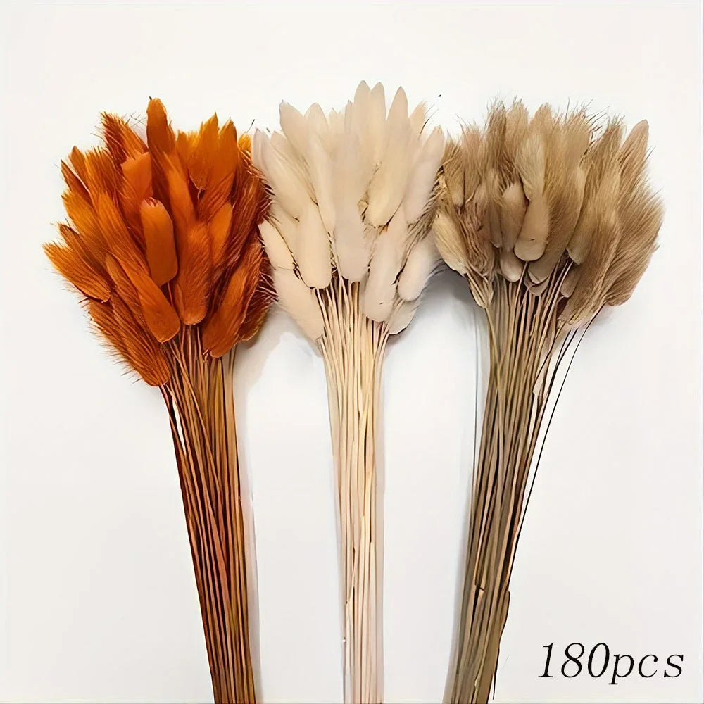 Trois bouquets de queues de lapin de pampas séchées dans des tons d'orange, de crème et de beige.