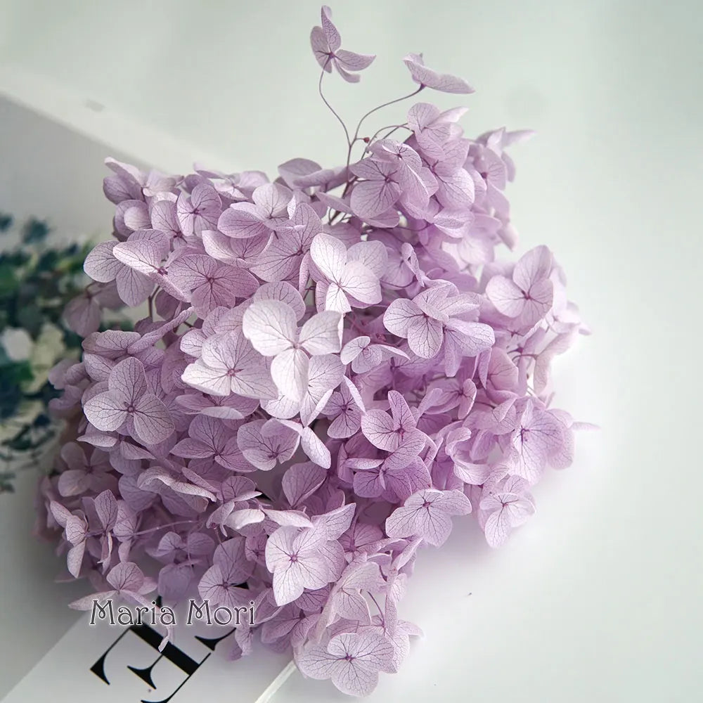 A dense cluster of purple dried hydrangea florets used for home decor