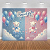 A gender reveal backdrop featuring pink and blue balloons and clouds with Boy or Girl text.