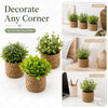 Set of three mini faux plants in woven pots displayed on a white surface.