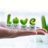 A hand holds a set of four resin succulent cacti shaped like letters L, G, V, and E for home decor.