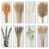 A collection of dried floral bouquets featuring various textures and colors including beige, yellow, and purple botanicals.