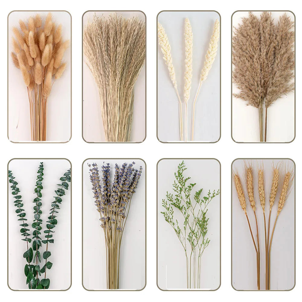 A collection of dried floral bouquets featuring various textures and colors including beige, yellow, and purple botanicals.