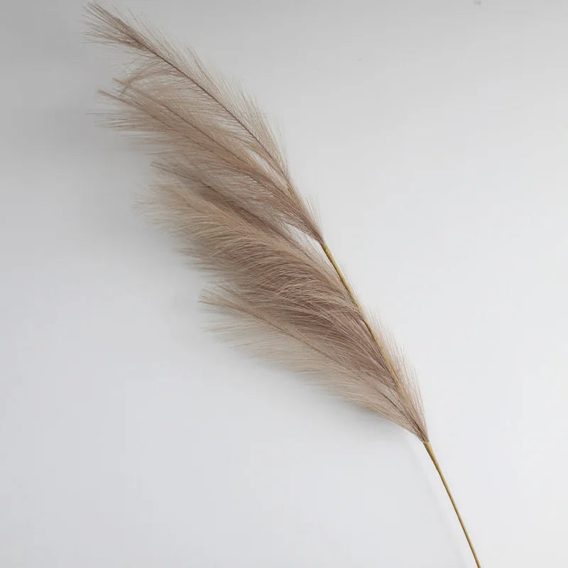 A long, feathery, beige pampas grass stem used for boho home decor or centerpieces.