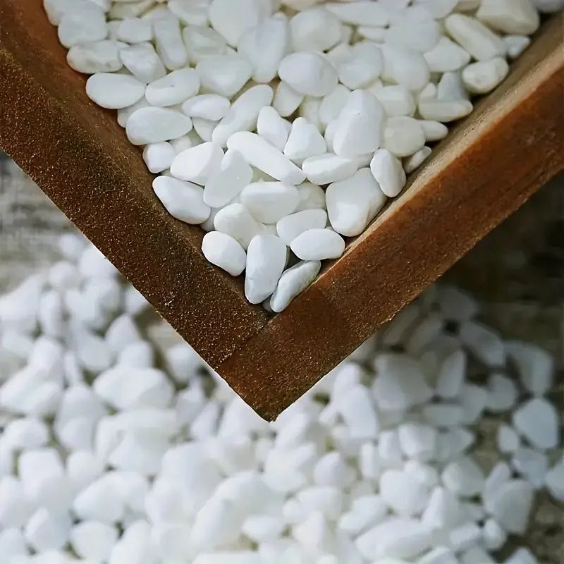 Natural White Decorative Pebbles for Aquariums, Plants & Home Decor