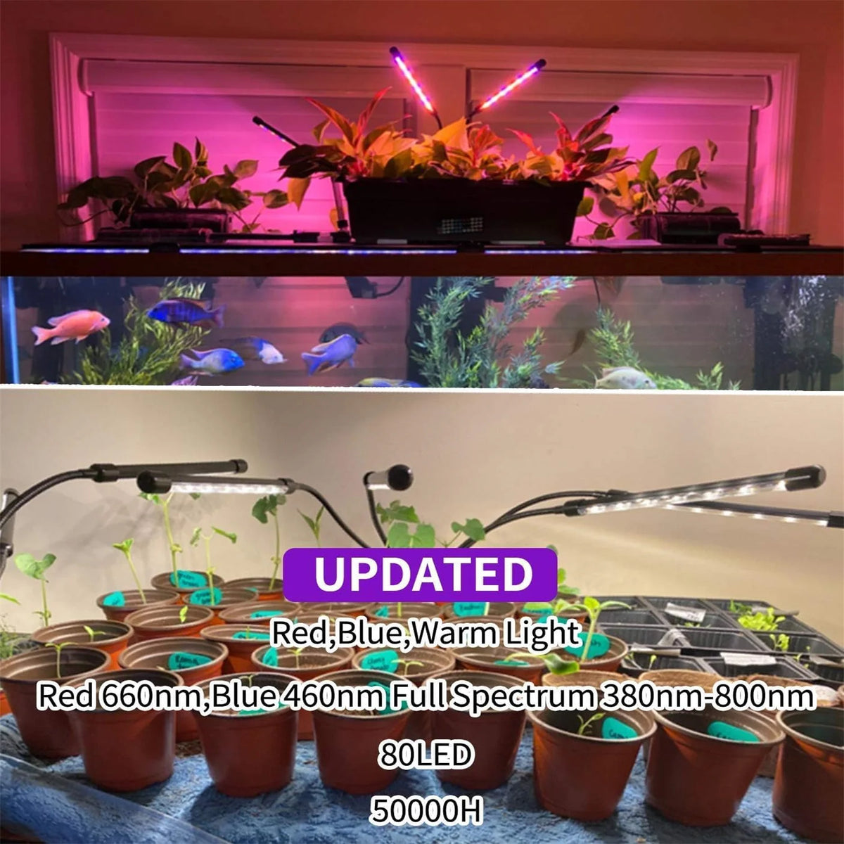 Installation montrant une lampe de culture LED spectre complet illuminant de nombreuses plantes en pot.