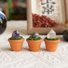Three small terracotta pots hold amethyst and quartz crystals with green moss decoration.