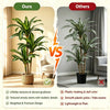 Comparison of artificial Dracaena trees showing textured stems and vibrant leaves versus smooth plastic poles.