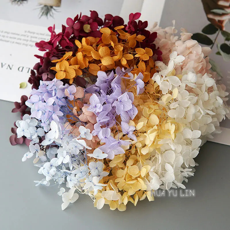 A round arrangement of dried hydrangea flowers in shades of purple, yellow, pink, and white.