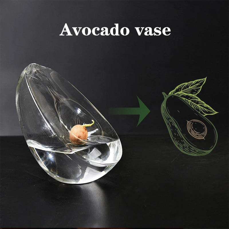 A clear glass vase shaped like an avocado holds a small avocado seed.