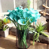 A bouquet of five light blue calla lily stems in a glass vase on a wooden surface.