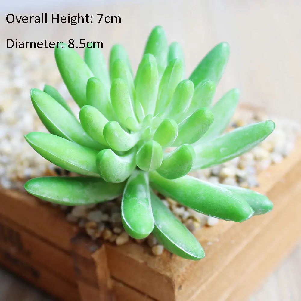 Artificial Succulent Bonsai for Desk & Home Decor