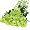 Un ramo de rosas artificiales de seda verde claro con tallos largos verdes.