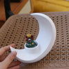 A white moon-shaped decorative vase with a green Christmas tree figurine sits on a woven surface.