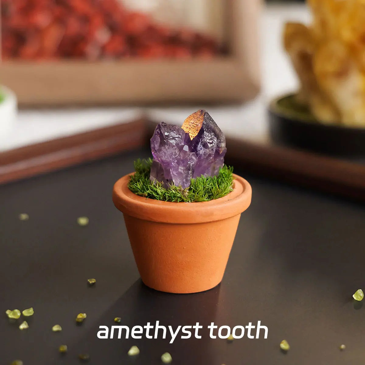 A purple amethyst crystal is planted in a small terracotta pot covered with green moss on a dark surface.