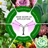 A diagram showing a wide scope of application for a USB LED plant grow light used on various plants like flowers, fruits, veg