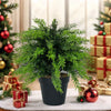 Artificial cypress topiary with green faux cedar foliage potted in a black container surrounded by wrapped gifts