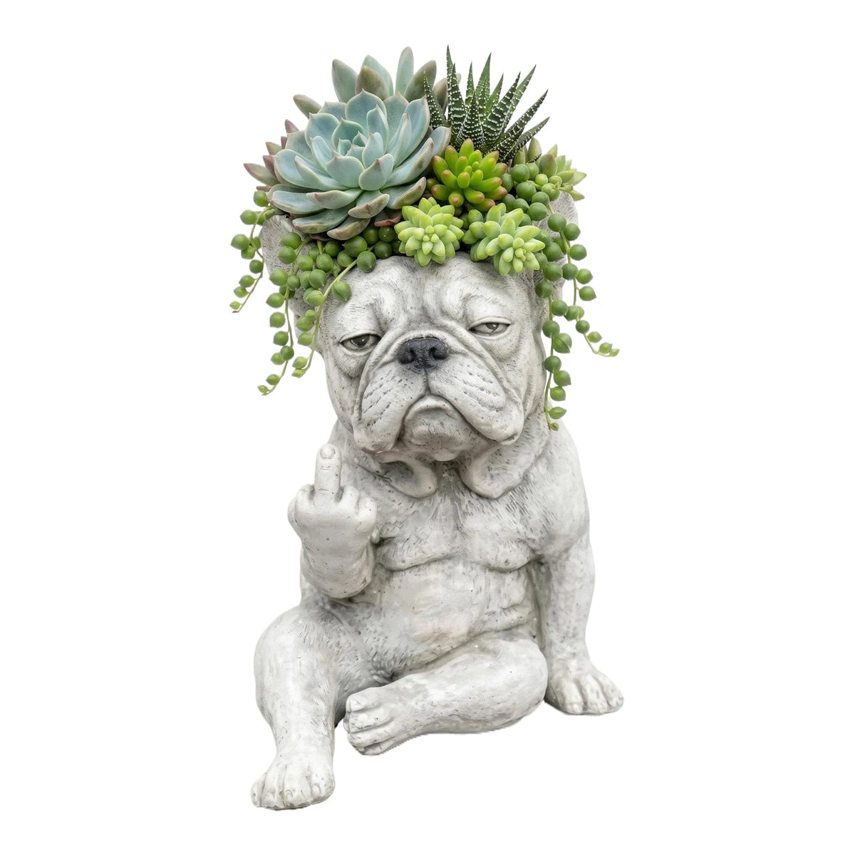 Un pot en résine en forme de bouledogue français avec de la verdure succulente sur la tête.