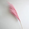 A slender, pink pampas grass stem used for boho home decor or centerpieces.