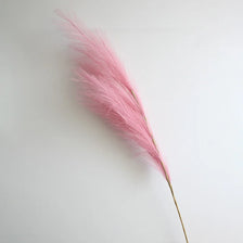 A slender, pink pampas grass stem used for boho home decor or centerpieces.