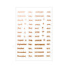 Transparent PET Index Tab Stickers with Hot Stamping – Monthly & Budget Organizers