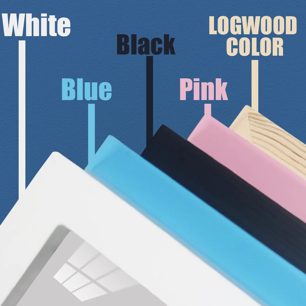 A close-up view of a photo frame with various colored borders, including white, black, blue, pink, and logwood color.