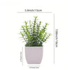 Mini Artificial Bonsai Plants Set for Shelf & Desk Decor