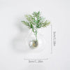 A clear glass vase holds a sprig of green foliage, used as a decorative item.