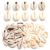 Natural Sea Snail Shell Beads for DIY Jewelry Making