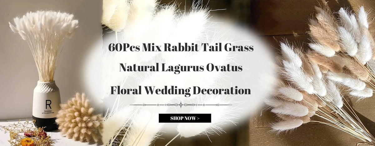 A display of 60 pieces of mix rabbit tail grass used for floral wedding decoration.