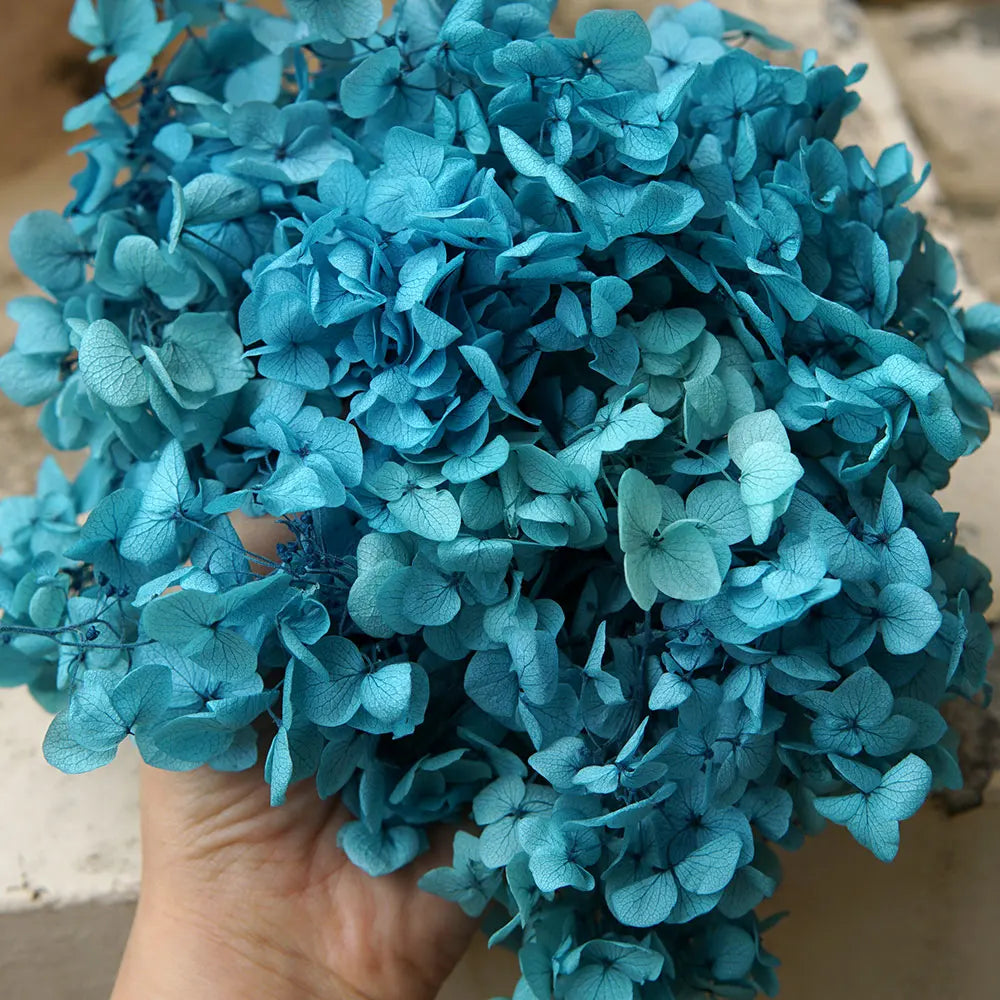 A hand holds a bouquet of vibrant blue dried hydrangea flowers for home decor.