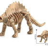 A light brown dinosaur skeleton model showing the full body and legs, with a scale indicating its size.