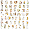 A collection of adorable cartoon cat stickers featuring various poses and expressions for laptops, water bottles, and journal