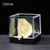 A clear acrylic box displaying a rough, yellowish-green Citrine crystal specimen.