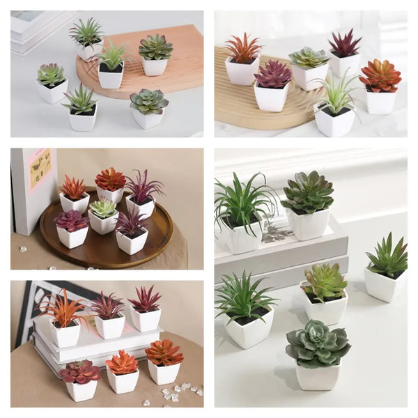 A collection of mini artificial succulent decorations in various shades of green and reddish-brown potted in white ceramic cu