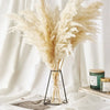 A bouquet of dried beige pampas grass arranged in a clear glass vase on a wooden surface.