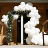 Matte White Balloon Variety Pack for Parties and Events