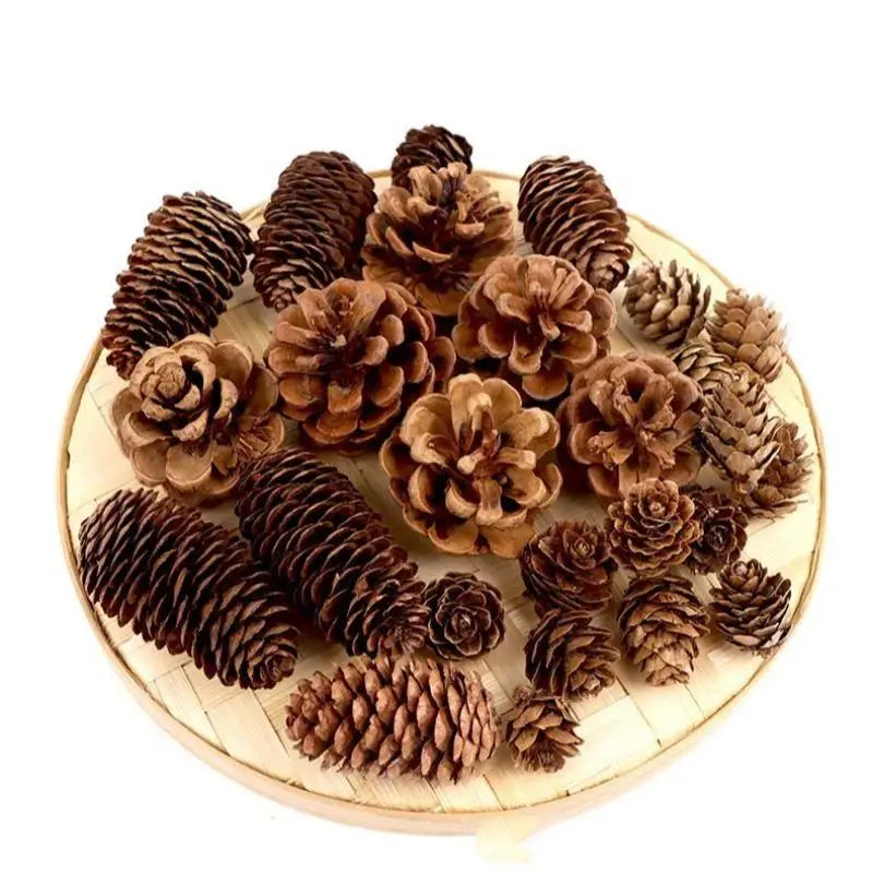 A collection of natural dried pine cones used for Christmas decor and DIY crafts.