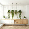 Four artificial eucalyptus hanging vines displayed on a wooden rack in a bright, modern room.