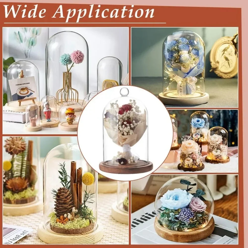 Various glass dome cloches with wooden bases displaying dried flowers and natural elements for decoration