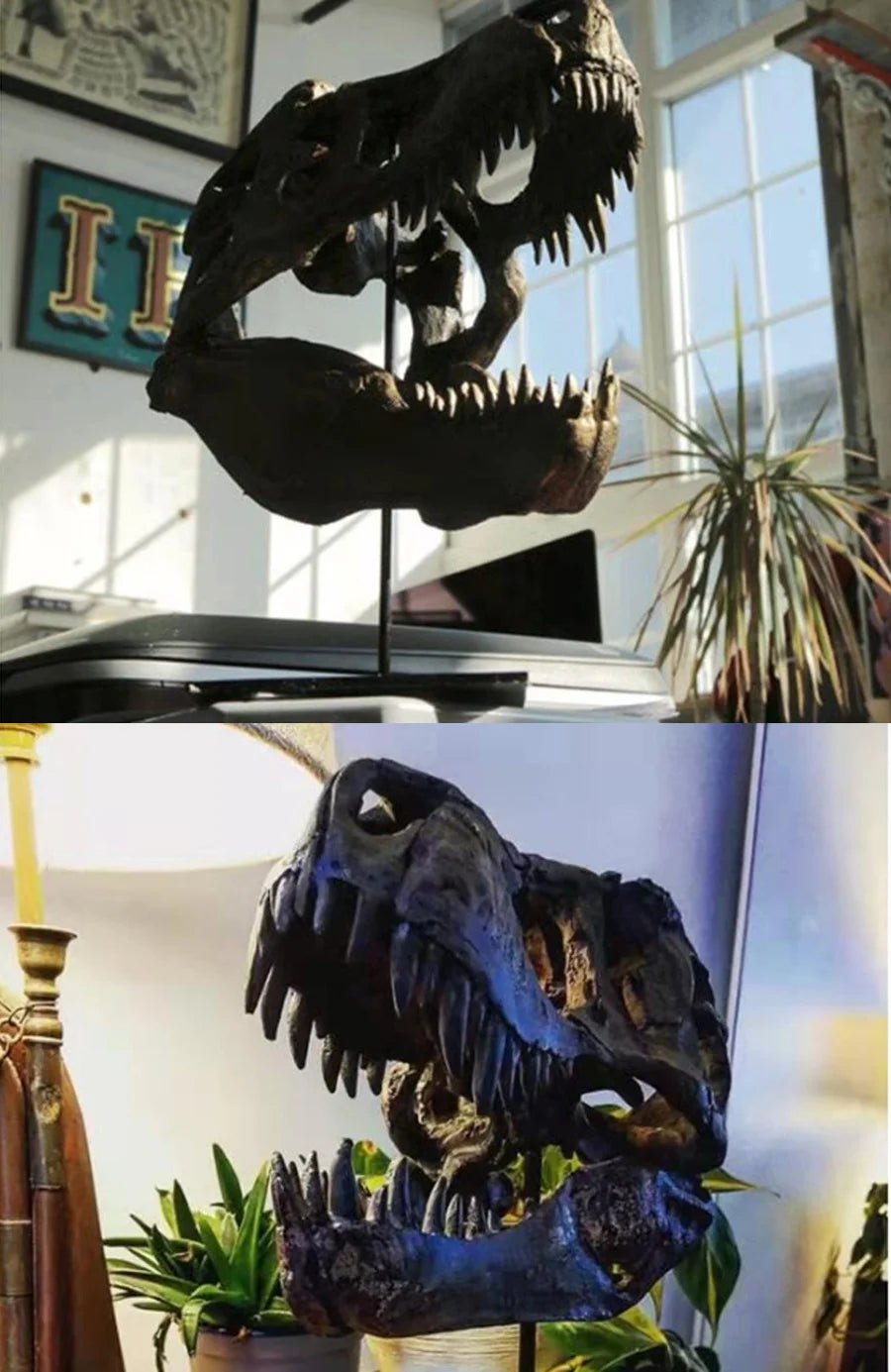 A dark resin sculpture of a realistic dinosaur skull displayed in a bright room.