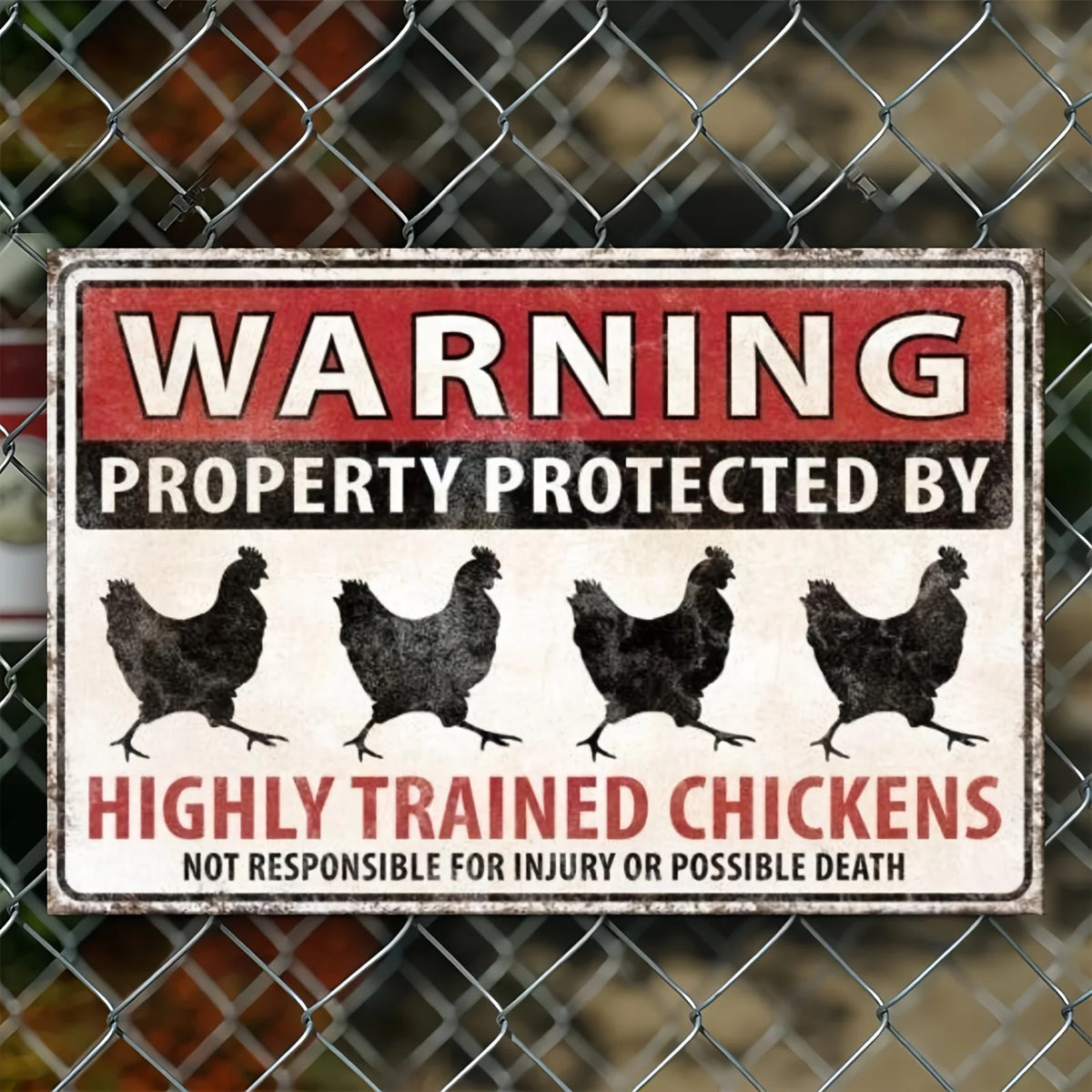 Vintage metal tin sign warning property protected by highly trained chickens