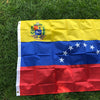 A large Venezuelan national flag banner featuring yellow, blue, and red stripes with a coat of arms and stars on a green lawn