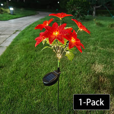 A single solar-powered poinsettia garden light with red flowers illuminates a grassy lawn.