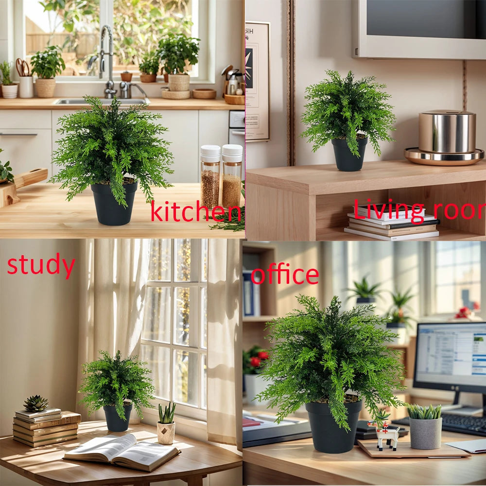 Various indoor plants and potted greenery displayed in a modern kitchen, living room, study, and office setting.