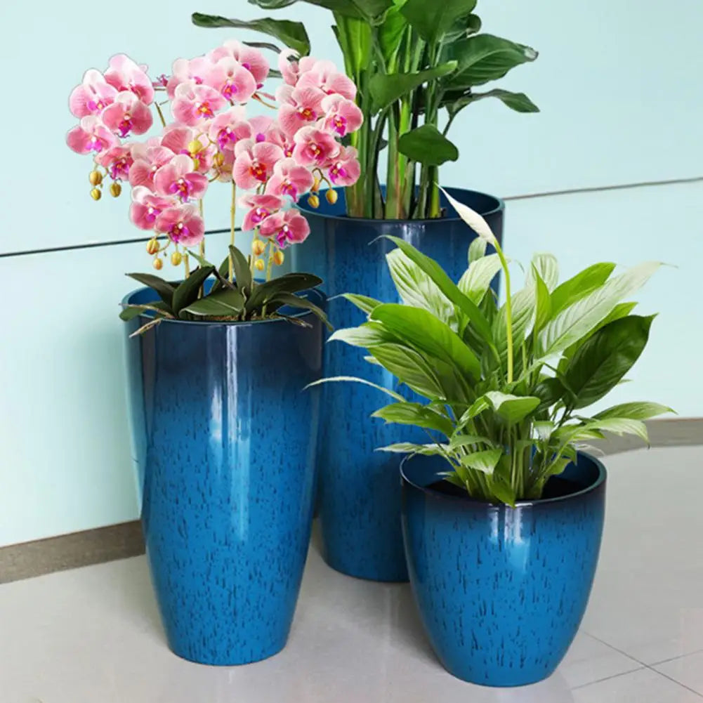 Three potted orchid plants in blue ceramic pots displayed on a light surface.