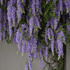 A dense cascade of purple and light green artificial wisteria hanging vines with silk bloom forks.