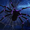 A dark spider with glowing purple lights is centered in a white web against a blue night background.