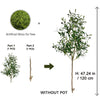 Artificial moss and a small plant are shown with an olive tree branch, illustrating the product without a pot.